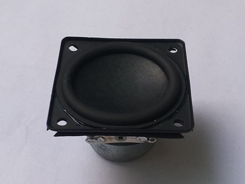 Speaker